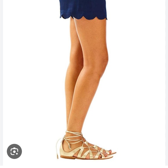 Lilly Pulitzer Dahlia Shorts in True Navy - Picture 3 of 8